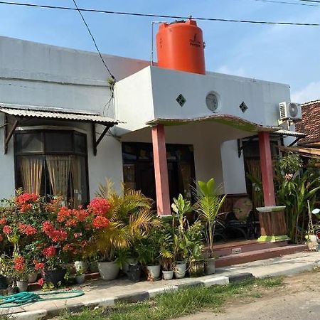 Owl Hostel كاريمونجاوا المظهر الخارجي الصورة