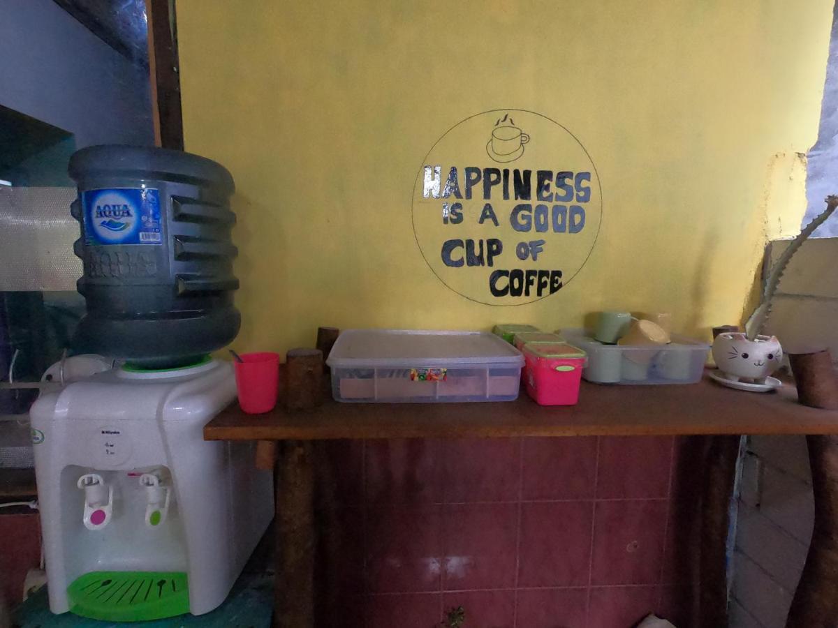 Owl Hostel كاريمونجاوا المظهر الخارجي الصورة